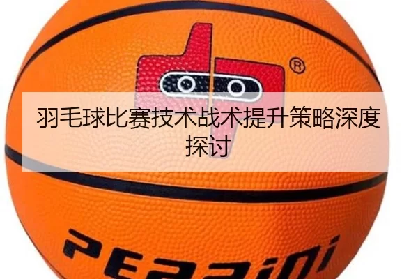 羽毛球比赛技术战术提升策略深度探讨