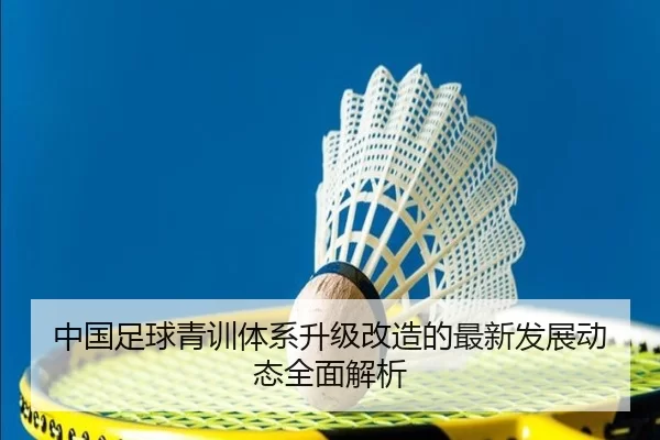 中国足球青训体系升级改造的最新发展动态全面解析