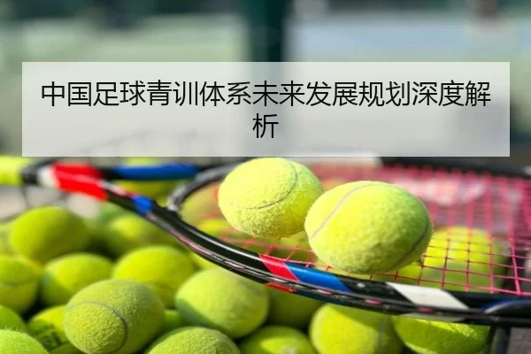中国足球青训体系未来发展规划深度解析